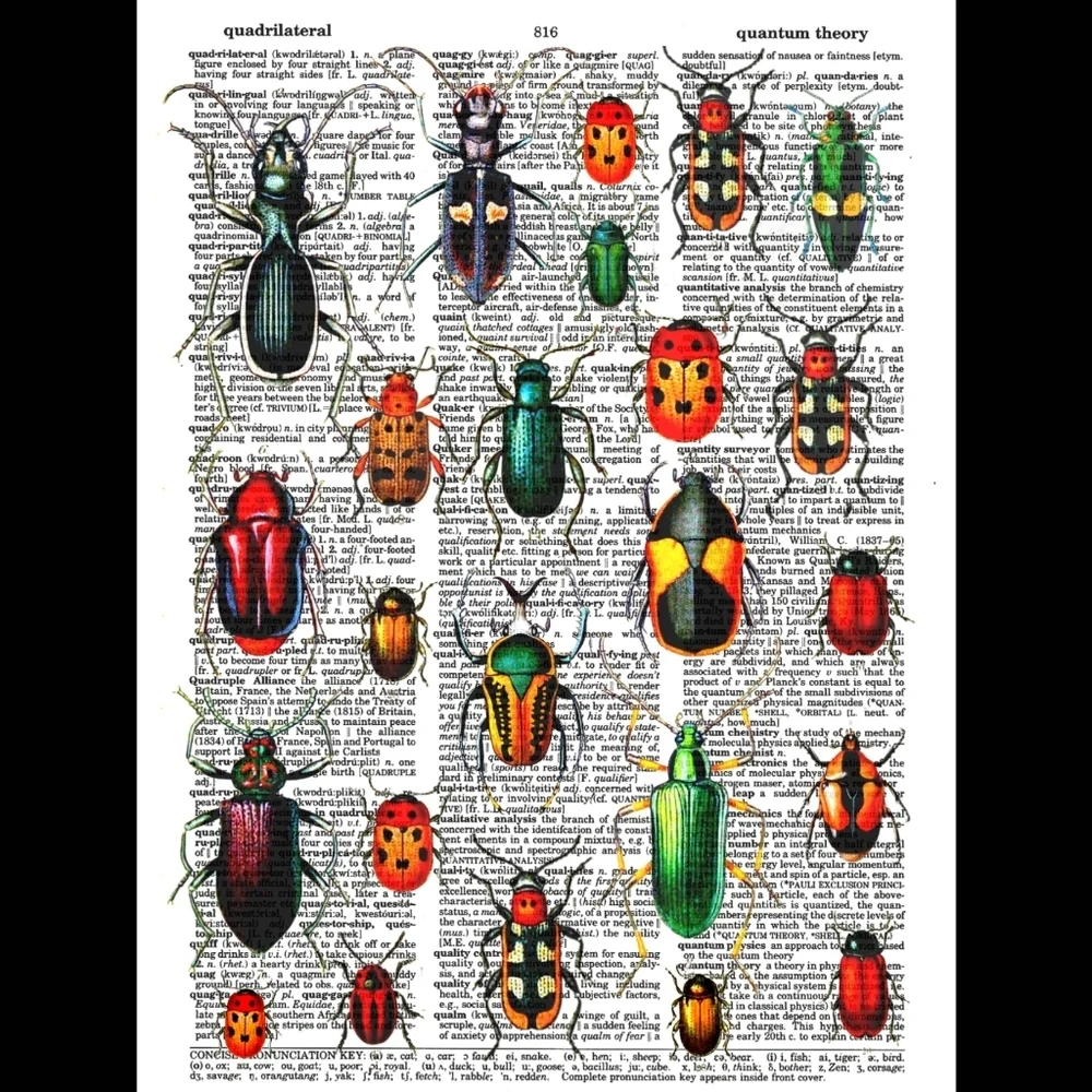 Insect Colorful Science Beetle Vintage Dictionary Art Pri…